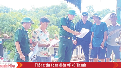 Tăng cường giám sát thủy sản khai thác tại các cảng cá