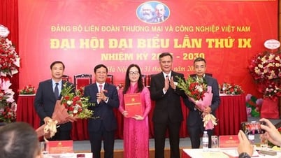 The 9th Congress of the Party Committee of the Vietnam Federation of Commerce and Industry, term 2025-2030