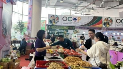 Quảng Ninh lên kế hoạch tổ chức Hội chợ OCOP gắn với Triển lãm thành tựu kinh tế - xã hội 5 năm (2020-2025)