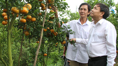 Tập trung nguồn lực phát triển toàn diện, bền vững kinh tế - xã hội