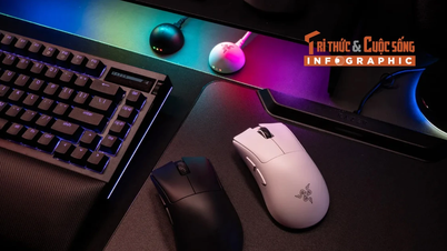 [INFOGRAPHIC] DeathAdder V4 Pro, Razer's most formidable upgrade