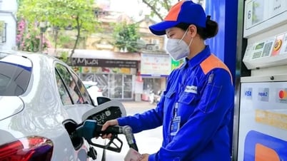 Giá xăng bật tăng trở lại