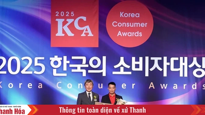 Vietjet là thương hiệu được người tiêu dùng Hàn Quốc tin chọn 2025