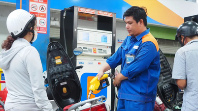 TP.HCM bắt đầu bán thí điểm xăng E10