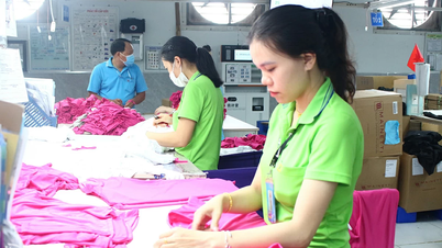 Tìm hướng đi bền vững cho ngành giày da và dệt may