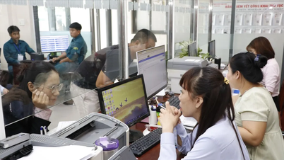 TPHCM khảo sát, đánh giá toàn diện công tác vận hành chính quyền địa phương 2 cấp