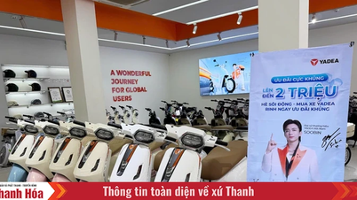 5 mẫu xe điện dưới 30 triệu đồng đáng chú ý khi chuyển đổi từ xe máy xăng