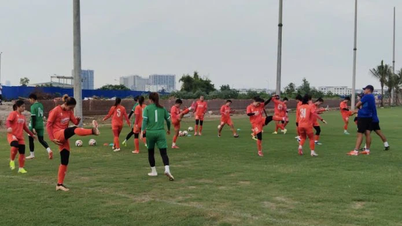 Đội tuyển nữ Việt Nam bước vào hành trình chinh phục giải Đông Nam Á 2025