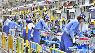 Plataforma digital ayuda a trabajadores vietnamitas a acceder al mercado japonés