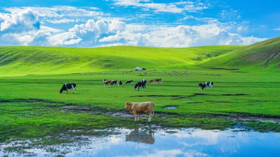 Inner Mongolia Travel: Lost in the vast grasslands and mysterious deserts