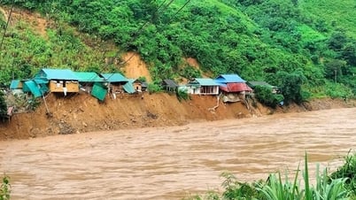 Nghệ An: Thiên tai kéo dài giấc mơ 'an cư'