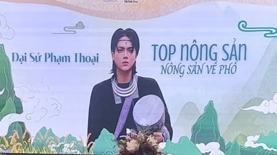 Lùm xùm TikToker làm “đại sứ” hội chợ nông sản: Bộ Công Thương lên tiếng