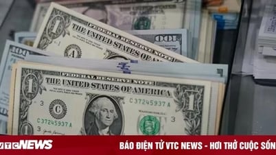 Fed giữ nguyên lãi suất bất chấp sức ép từ Tổng thống Mỹ