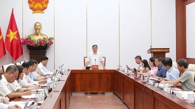 Ngành văn hóa, thể thao và du lịch Hải Phòng chủ động kiến tạo nền tảng phát triển