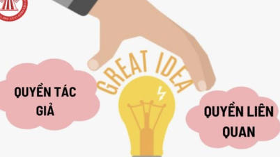 Hải Phòng: Đạt nhiều kết quả nổi bật trong việc nâng cao hiệu quả thực thi pháp luật về quyền tác giả, quyền liên quan