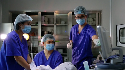 Phụ nữ độc thân tại Việt Nam có quyền làm thụ tinh trong ống nghiệm khi "có nguyện vọng"
