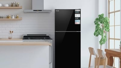 Tủ lạnh Funiki: Giải pháp cho người trẻ mới bắt đầu cuộc sống riêng