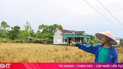 Dùng thuốc cỏ cháy tùy tiện: Giải pháp ngắn hạn – hệ lụy lâu dài!