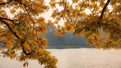 Báo Anh chọn điểm đến này ở Việt Nam vào top thành phố tuyệt nhất thế giới