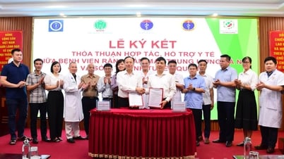 Bệnh viện Răng hàm mặt Trung ương khảo sát chuyển giao kỹ thuật tại Bệnh viện Đa khoa tỉnh