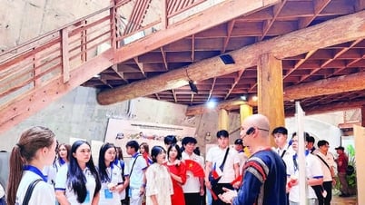 Ngày hè bổ ích của thanh niên kiều bào