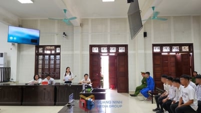 Tăng cường các hoạt động trợ giúp pháp lý
