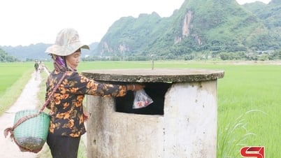 Thu gom, xử lý bao gói thuốc bảo vệ thực vật