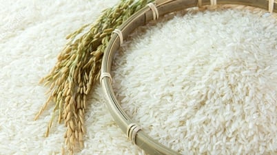 Giá lúa gạo hôm nay 31/7: Gạo xuất khẩu Việt Nam tăng mạnh