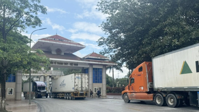 Durian-Exporte über den internationalen Grenzübergang Thanh Thuy nehmen zu