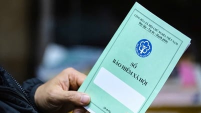 電子社会保険手帳、2026年1月1日から正式適用