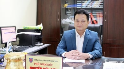 Phối hợp trong hoạt động tố tụng: Giúp người yếu thế tiếp cận công lý kịp thời, hiệu quả