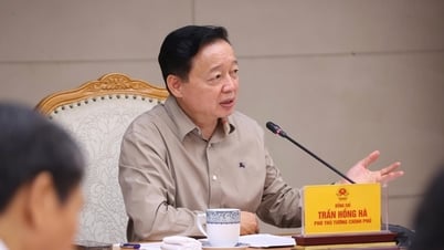 អភិវឌ្ឍ OCOP ទៅជាម៉ាកយីហោវៀតណាម ឈានដល់ស្តង់ដារអន្តរជាតិនៅលើទីផ្សារពិភពលោក