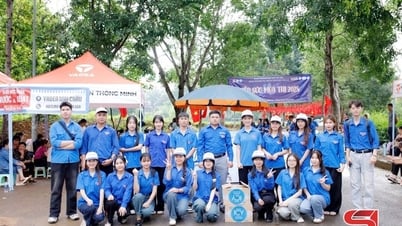 Meaningful summer of student volunteers