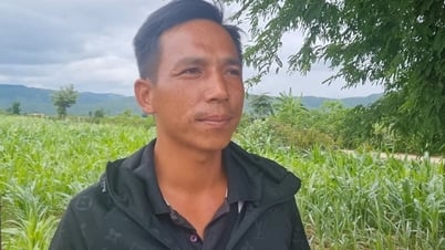 Anh nông dân bay drone cứu 2 trẻ kẹt giữa lũ lớn được khen thưởng