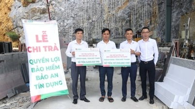 Pay 113 million VND to customers participating in Credit Security and Cardholder Security insurance