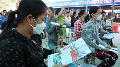 Người lao động lớn tuổi khó khăn tìm việc