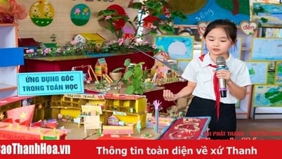 Quang Vinh 초등학교의 생활 기술 교육 및 STEM 교육