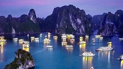 Many consequences if the number, scale and type of tourist boats in Ha Long Bay are not limited