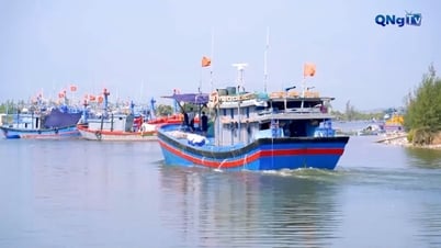 Quảng Ngãi tăng cường quản lý tàu cá
