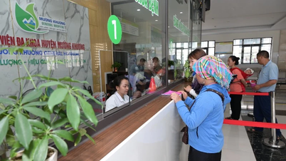 Nach der Fusion verfügt das Gesundheitssystem der Provinz Lao Cai über 45 Einheiten.