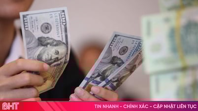 Taux de change du dollar américain aujourd'hui (07/04/2025) : le dollar continue d'augmenter.