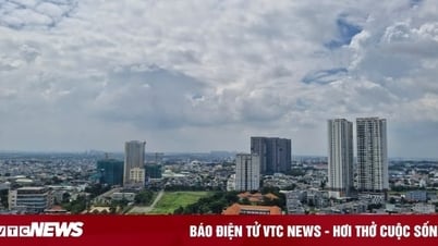 السيد نجوين فان دوك: يجب أن تضم مدينة هوشي منه مجموعتين اقتصاديتين قويتين مثل Becamex.