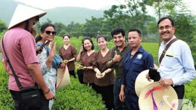 Thai Nguyen: Connect to fly far