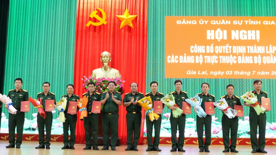 Gia Lai: Công bố quyết định thành lập 10 tổ chức Đảng trực thuộc Đảng bộ Quân sự tỉnh