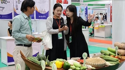 TP Hồ Chí Minh: Nâng chuẩn sản phẩm OCOP hướng tới xuất khẩu