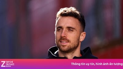 'Jota trầm lặng, lễ phép và rụt rè'