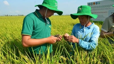 Les agents de vulgarisation agricole accompagnent les agriculteurs