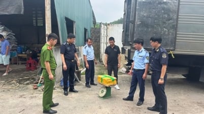 Hải quan khu vực VIII: Nâng cao hiệu quả chống buôn lậu