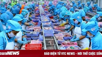 Vietnamesische Unternehmen bereiten sich auf die Anpassung an US-Zölle vor