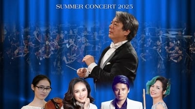 “Concierto de Verano 2025”: Dando color a melodías familiares con una sinfonía